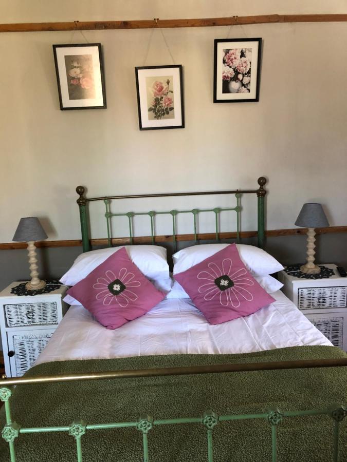 Apple And Rose Bed & Breakfast Belfast Luaran gambar