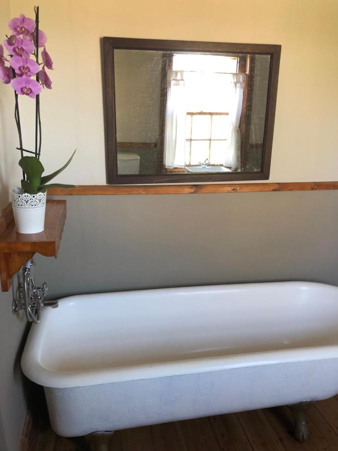 Apple And Rose Bed & Breakfast Belfast Luaran gambar